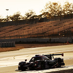 Flickr photo 23-2MDH3613