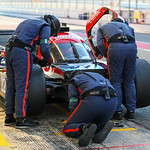 Flickr photo 22-DSC_8185