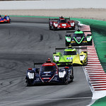 Flickr photo 22-1MDH9838