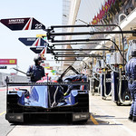 Flickr photo 22-1MDH7067