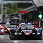 Flickr photo 22-DSC_3612 (1)