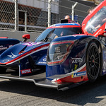 Flickr photo P1062305