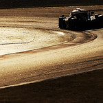 Flickr photo 23-1MDH4686