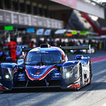 Flickr photo 22-DSC_3983