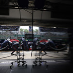 Flickr photo 22-7B1A6612