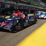 Flickr photo 22-1MDH2338