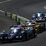 Flickr photo 20-DSC_8341