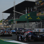 Flickr photo 21-DSC_1303