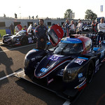 Flickr photo 21-7B1A8060