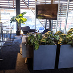 Flickr photo UA-1MDH9193