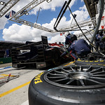 Flickr photo 22-2MDH2735