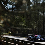 Flickr photo 22-1MDH5384