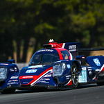 Flickr photo 23-DSC_8178