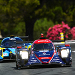 Flickr photo 22-DSC_2690