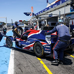 Flickr photo 21-2MDH3146