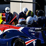 Flickr photo 22-1MDH6925