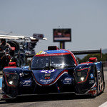 Flickr photo 23-1MDH5292