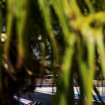 Flickr photo 23-1MDH9145