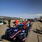 Flickr photo 22-1MDH9748