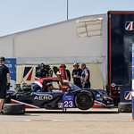 Flickr photo 23-1MDH5654