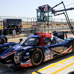 Flickr photo 22-2MDH4663