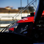 Flickr photo 22-1MDH3315