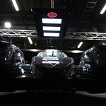 Flickr photo UA-7B1A0252