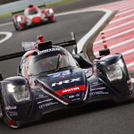 Flickr photo 23-7B1A0212