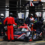 Flickr photo 22-7B1A0532