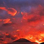 Flickr photo 2023JEP_4105