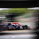 Flickr photo 22-1MDH4917