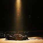 Flickr photo 23-DSC_8520