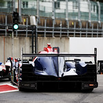 Flickr photo 21-2MDH6696