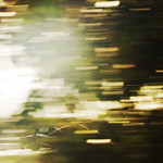 Flickr photo 22-0Q3A6468