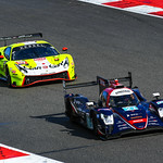 Flickr photo 21-DSC_9777