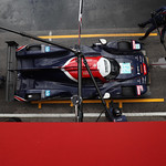 Flickr photo 21-A48I9996