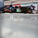 Flickr photo 21-7B1A4908