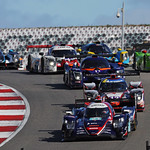 Flickr photo 21-0Q3A1076