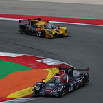 Flickr photo 22-DLPX1455