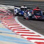 Flickr photo 22-1MDH3550