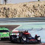 Flickr photo 22-1MDH2855