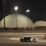 Flickr photo 23-1MDH5511