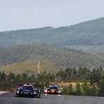 Flickr photo 23-DSC_8310