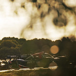 Flickr photo 22-0Q3A6674