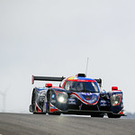 Flickr photo 23-DSC_3118