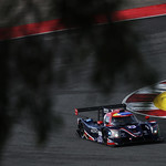 Flickr photo 23-0Q3A6017