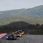 Flickr photo 22-DSC_8284