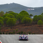 Flickr photo 23-DSC_2856