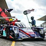 Flickr photo 21-DSC_3246