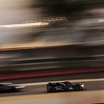 Flickr photo 23-1MDH4634